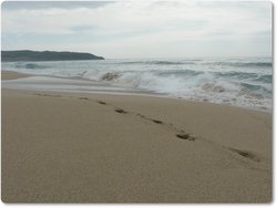 Playa de Rosto