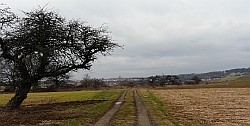 Jakobswege in Hessen