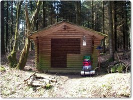 Schutzhütte im Wald